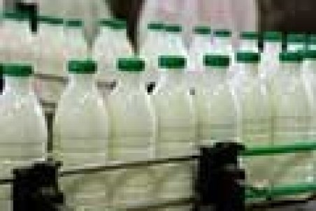 دامداران به دنبال افزایش ۳۰درصدی قیمت شیر