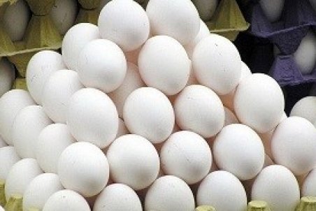 دلیل گرانی تخم مرغ مشخص شد/ پیشنهاد افزایش ۳۰ درصدی قیمت به تنظیم بازار