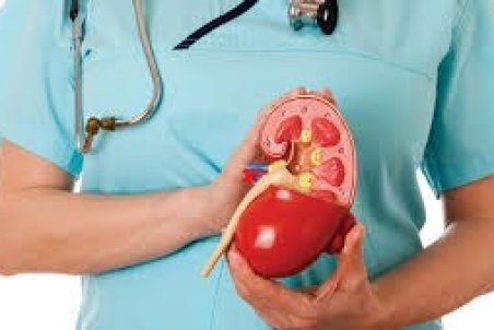 کلیه‌های خود را با این گیاهان مثل آینه برق بیندازید