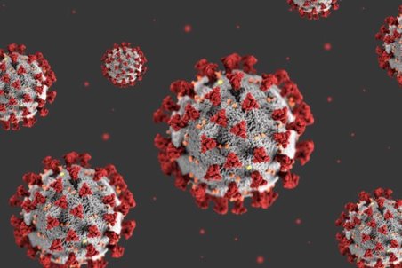 مبتلایان بالای ۶۰، بیشترین مرگ‌های ناشی از کرونا