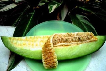 افرادی که مشکل کلیه دارند خوردن این میوه را فراموش نکنند