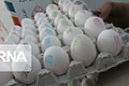 قیمت تخم‌مرغ در بازار همچنان بالاست
