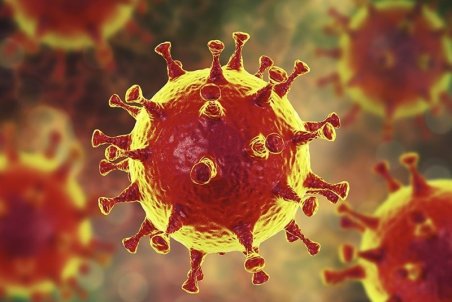 فوت بیش از ۵۰۰۰ تهرانی به دلیل کرونا/ کدام مناطق تهران بیشترین ابتلا را داشته‌اند؟