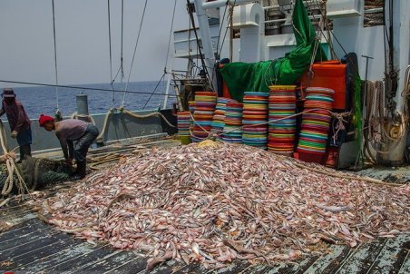 حمله شبانه به خلیج فارس!