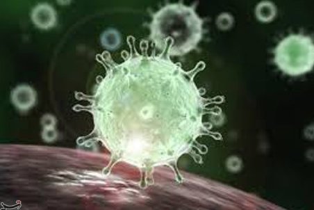 نطنز در وضعیت هشدار زرد کرونایی/ ‌شهروندان بهداشت و خطر ویروس را جدی نمی‌گیرند