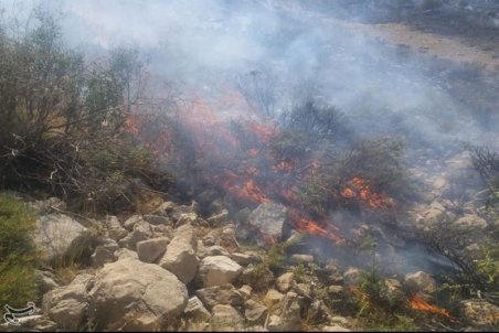 خطای انسانی عامل ۹۰ درصد از حریق‌ها است/ وقوع بیش از ۳۰ حریق در مراتع استان اصفهان
