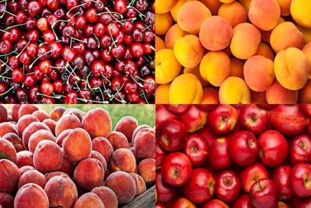 قیمت برخی میوه‌های تابستانه ۸۵ درصد کاهش یافت
