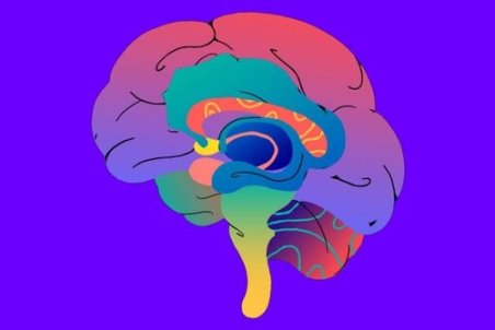 پنج گام موثر برای تقویت حافظه