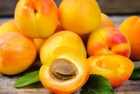 میوه‌ای تابستانی و خوشمزه، دشمن سرطان و بیماری‌های عصبی