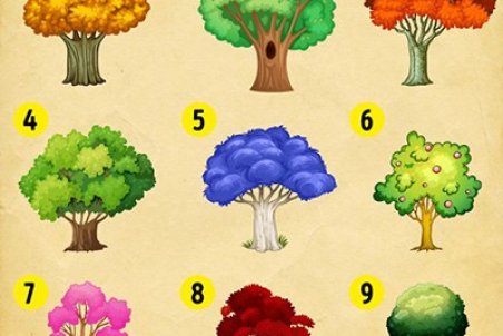 با انتخاب یک درخت شخصیت خود را بشناسید