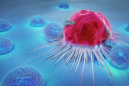 چند خوراکی برای تقویت سیستم ایمنی بدن