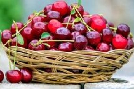 آلبالو بخورید تا سلامت بمانید