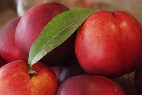 همه چیز درباره شلیل از بالابردن سطح ایمنی بدن تا سلامت پوست و دندان