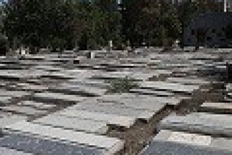 شاکیان سلطان قبر به دادسرا مراجعه کنند