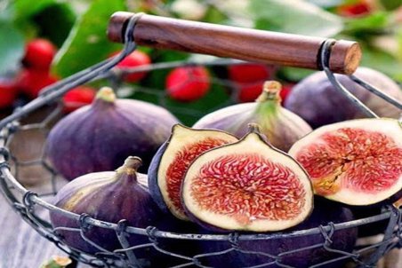 انجیر طبع گرم دارد یا سرد؟