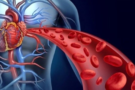 ۸ خوراکی برای تقویت گردش خون