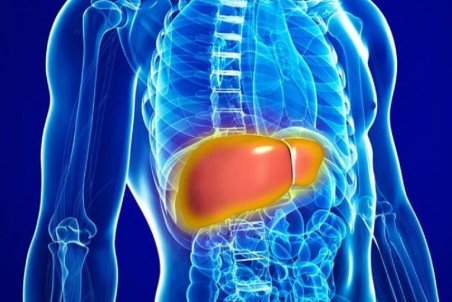 رژیم غذایی مناسب برای مبتلایان به كبد چرب