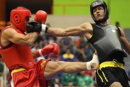 فضلی: کارهایی که در ووشو انجام دادم آرزوی خیلی‌هاست