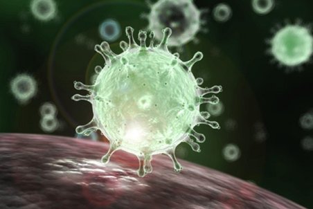 ثبت ۴۹۹ نفر فوتی بر اثر بیماری کرونا در استان کرمانشاه