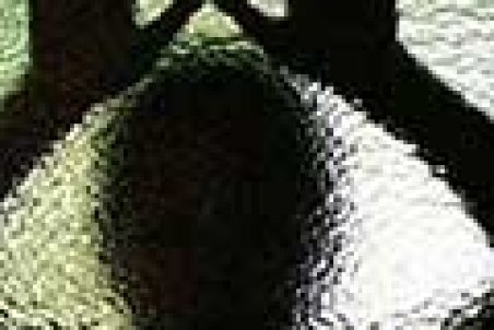 وقتی دختر‌ها در توئیتر فریاد می‌زنند