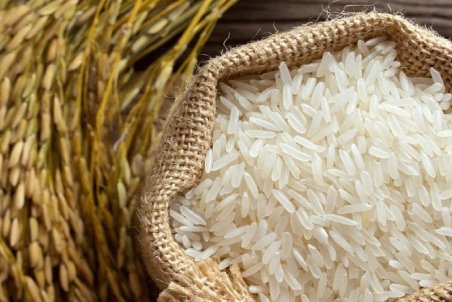 کاهش ۵۰ درصدی واردات برنج؛ مصرف برنج خارجی به ۸۰ هزار تن رسید
