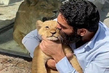 ماجرای شیر و خواننده شیرازی به کجا رسید؟