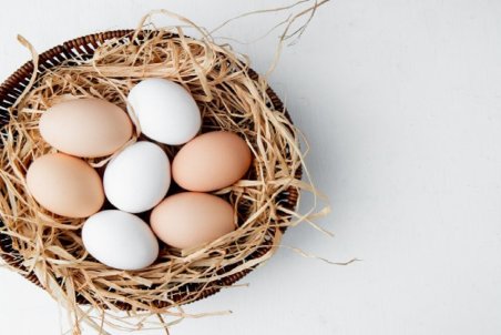 بهبود نسبی قیمت تخم مرغ در بازار؛ نرخ هر شانه تخم مرغ به ۱۸ هزار تومان رسید