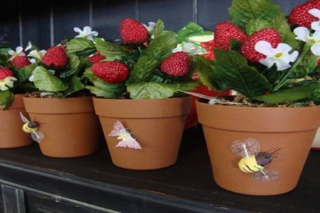 فوت‌وفن کاشت توت‌فرنگی در خانه