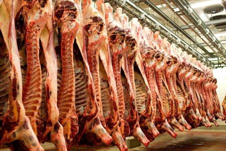 مهار نوسان قیمت دام از دامداری تا خرده فروشی با رونق خرید تضمینی