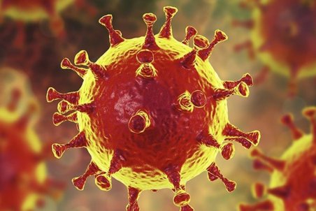 خروج از وضعیت قرمز کرونا/گلستان زرد شد