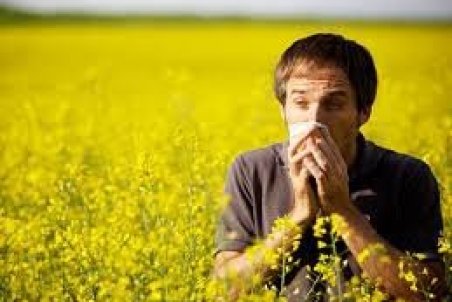 نکات مفید برای کنترل آلرژی در پاییز