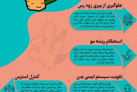 خواص زنجبیل؛از چربی سوزی تا کنترل استرس