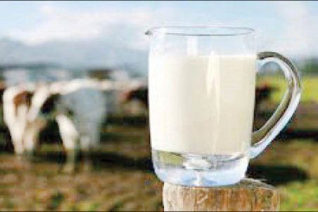 مزایای پروتئین شیر چیست؟