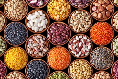 خرید نخود از کشاورز کیلویی ۱۰هزار تومان؛ فروش به مردم ۲۰هزارتومان