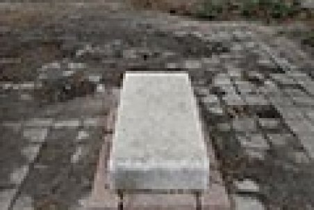 سلطان قبر دستگیر شد