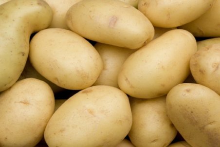 صادرات سیب‌زمینی بدون پرداخت عوارض