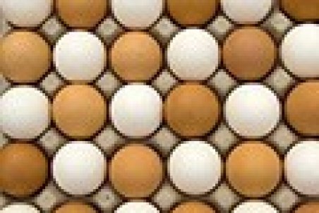 تخم‌مرغ شانه‌ای ۳۰هزار تومان شد!