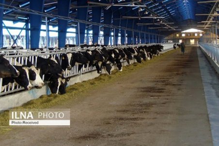 نیازی به واردات کره نداریم/ مشکل درست می‌کنند تا رانت بگیرند