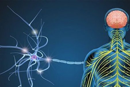 چگونه بفهمیم ام اس داریم؟ ( علائم و نشانه های بیماری ام اس)