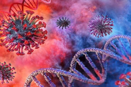 تعداد قربانیان کرونا در مهاباد ثابت ماند