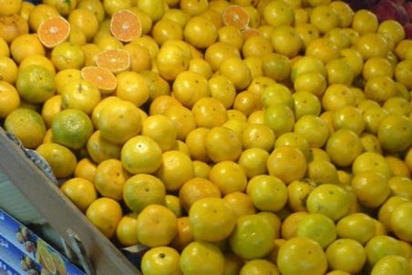 مردم نارنگی و پرتقال‌های زرد بازار را نخرند