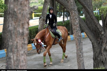 کیان‌مهر: مشکل قرنطینه اسب‌های ایرانی هنوز حل نشده است