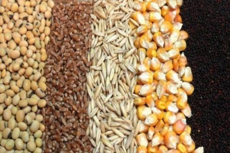 بازار با کمبود۷۰ درصدی نهاده ‌های دامی مواجه است