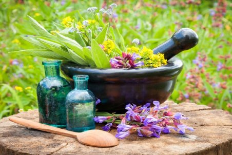 خواص کاسنی؛ از ماسک ضدجوش و اگزما تا درخشان‌شدن پوست