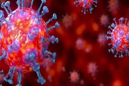 ۱۰ بیمار کرونایی دیگر در البرز فوت کردند