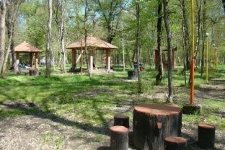 پارک جنگلی ۱۰۰ هکتاری در همدان احداث می‌شود