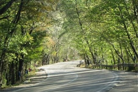 پیگیری قضایی موضوع ویلاسازی در پارک ملی گلستان/ تعدادی از مدیران استان به دادستانی احضار شدند