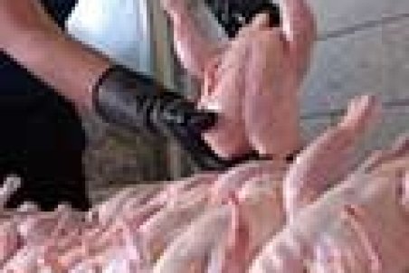 قیمت مرغ در به کیلویی ۲۰هزار تومان رسید