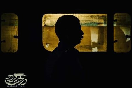 «درخت گردو» هم متقاضی رقابت اسکار است؟