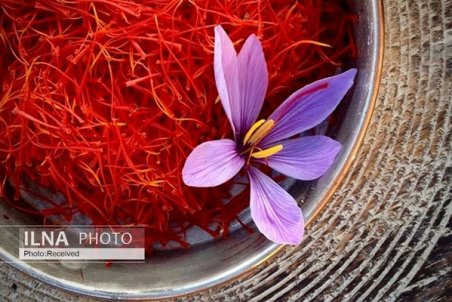 صادرات زعفران ۴ درصد افزایش یافت/ هیچ‌ تسهیلاتی در اختیار صادرکنندگان قرار نگرفت